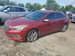 Salvage cars for sale at Baltimore, MD auction: 2016 Hyundai Sonata SE