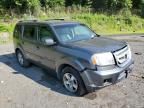 2010 Honda Pilot EXL