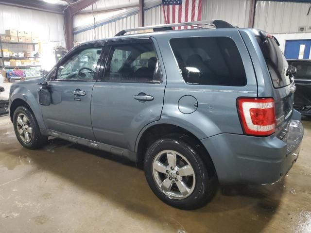 2010 Ford Escape Limited