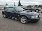 2002 Ford Mustang