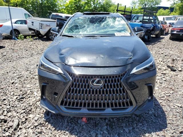 2024 Lexus NX 350 Base