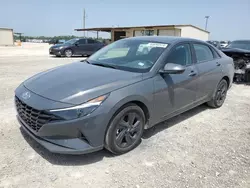 Salvage cars for sale at Temple, TX auction: 2023 Hyundai Elantra SEL