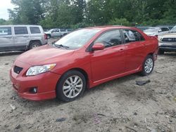 Toyota salvage cars for sale: 2010 Toyota Corolla Base