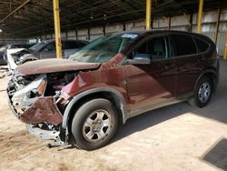 Salvage cars for sale at Phoenix, AZ auction: 2014 Honda CR-V LX