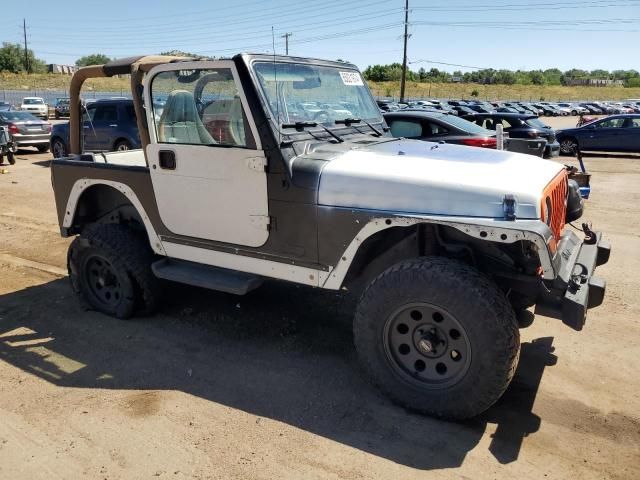 2001 Jeep Wrangler / TJ Sahara