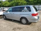 2008 Honda Odyssey EXL