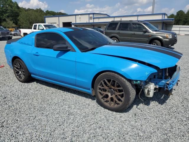 2013 Ford Mustang