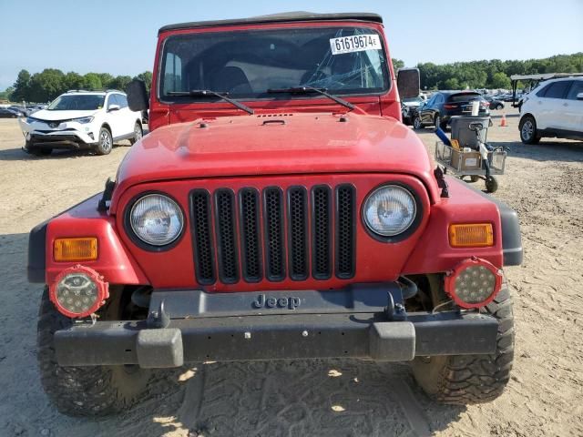 2000 Jeep Wrangler / TJ SE