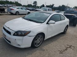 Salvage cars for sale at Earlington, KY auction: 2008 Scion TC