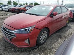 Salvage cars for sale at Elgin, IL auction: 2020 Hyundai Elantra SE