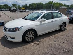 Salvage cars for sale from Copart Chalfont, PA: 2013 Honda Accord EX