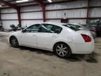 2005 Nissan Maxima SE