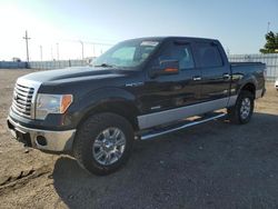 Salvage trucks for sale at Greenwood, NE auction: 2012 Ford F150 Supercrew