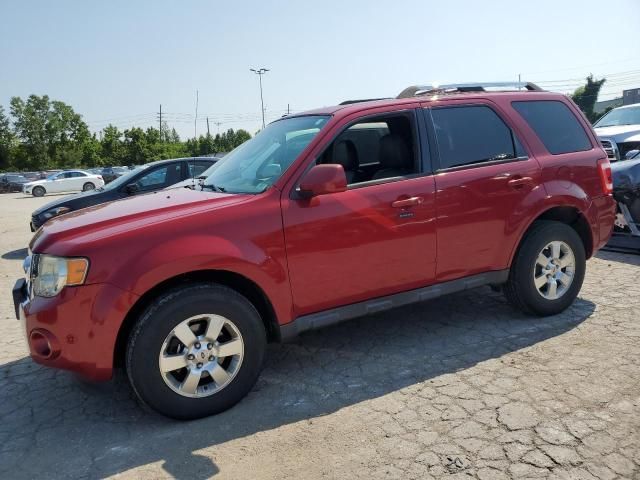 2011 Ford Escape Limited