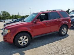 Salvage cars for sale at Bridgeton, MO auction: 2011 Ford Escape Limited