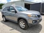 2011 KIA Sorento Base