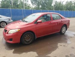 Salvage cars for sale at Moncton, NB auction: 2009 Toyota Corolla Base
