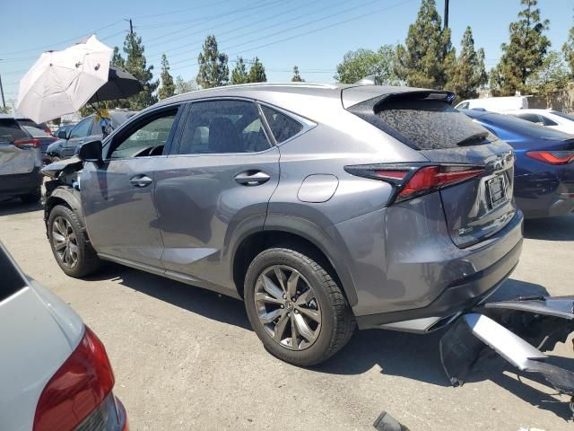 2020 Lexus NX 300 F-Sport