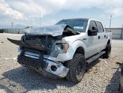 Ford salvage cars for sale: 2009 Ford F150 Supercrew