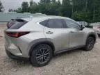 2022 Lexus NX 350