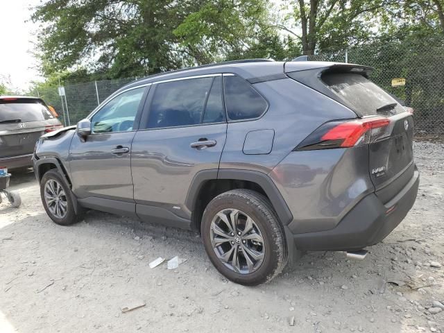 2024 Toyota Rav4 XLE Premium