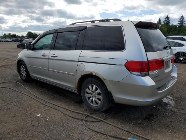 2008 Honda Odyssey EXL