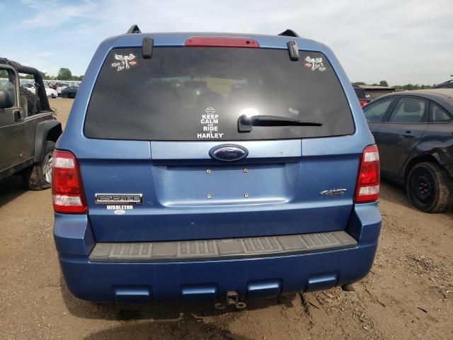 2009 Ford Escape XLT