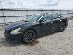 Salvage cars for sale from Copart Fredericksburg, VA: 2011 Nissan Maxima S