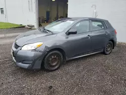 Toyota salvage cars for sale: 2009 Toyota Corolla Matrix