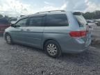 2010 Honda Odyssey EXL