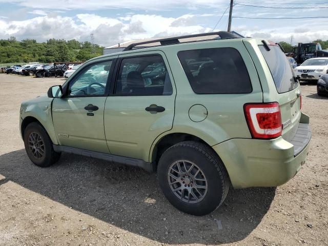 2008 Ford Escape XLT