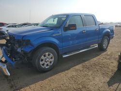 Vehiculos salvage en venta de Copart Brighton, CO: 2013 Ford F150 Supercrew