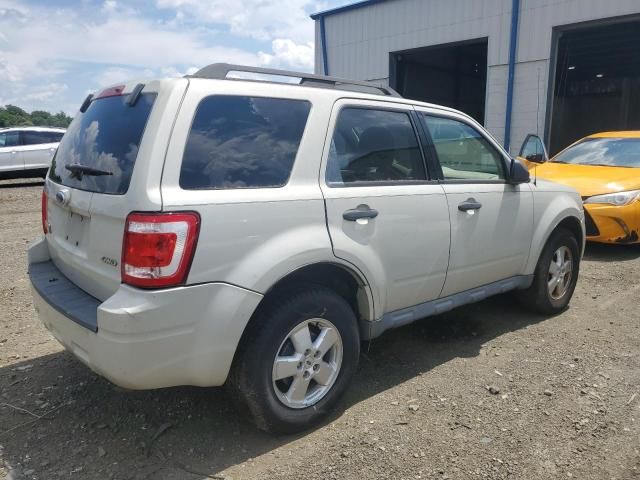 2009 Ford Escape XLT