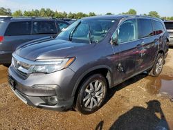 2022 Honda Pilot EXL en venta en Elgin, IL