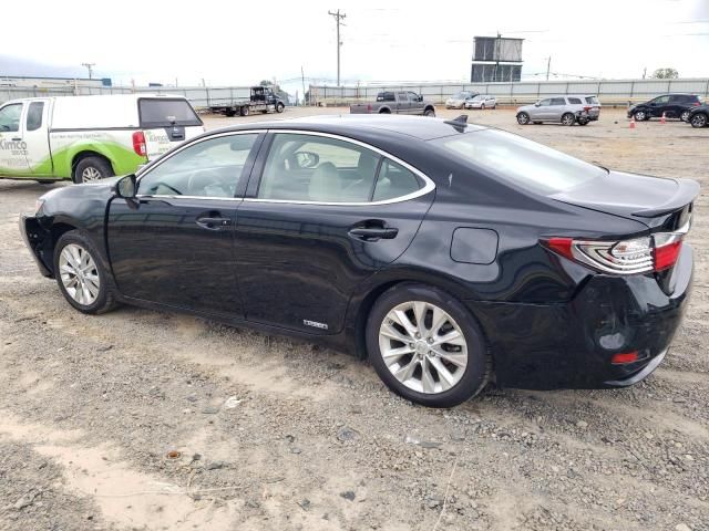 2013 Lexus ES 300H