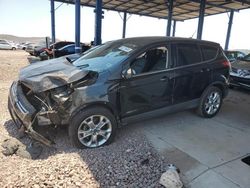 Salvage cars for sale at Phoenix, AZ auction: 2013 Ford Escape SEL