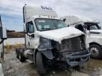 2016 Freightliner Cascadia 113