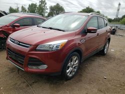 Salvage cars for sale at Elgin, IL auction: 2015 Ford Escape Titanium