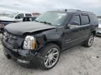 2013 Cadillac Escalade Premium