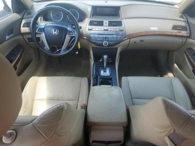 2010 Honda Accord EXL