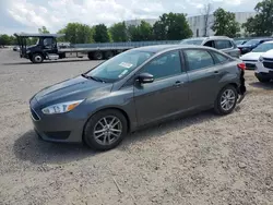 Ford salvage cars for sale: 2016 Ford Focus SE