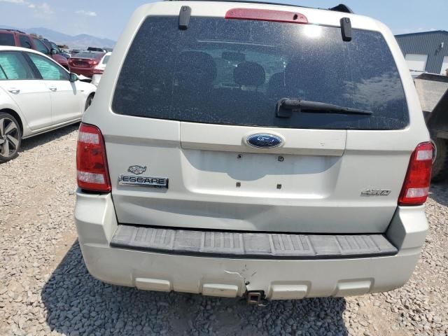 2008 Ford Escape XLT