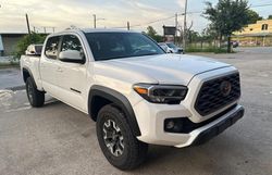 Salvage cars for sale at Houston, TX auction: 2023 Toyota Tacoma Double Cab