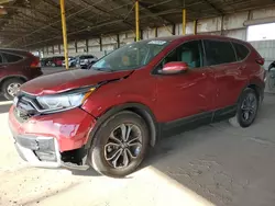 Honda salvage cars for sale: 2021 Honda CR-V EX