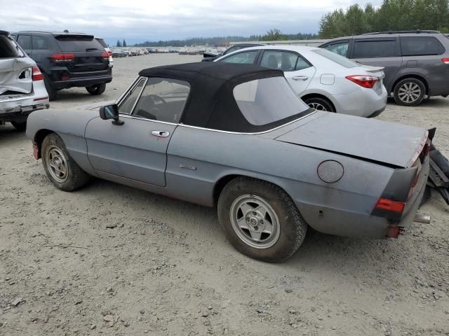 1986 Alfa Romeo Veloce 2000 Spider