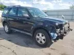 2012 Ford Escape XLS