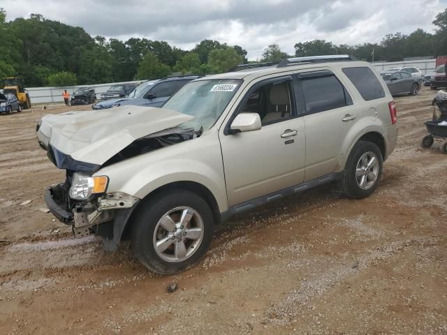 2011 Ford Escape Limited