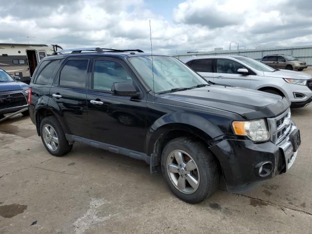 2012 Ford Escape Limited