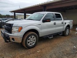 Ford f-150 Vehiculos salvage en venta: 2013 Ford F150 Supercrew