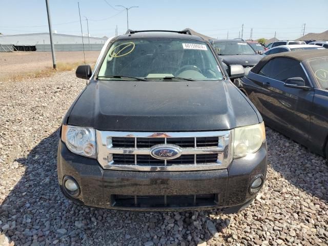 2009 Ford Escape XLT